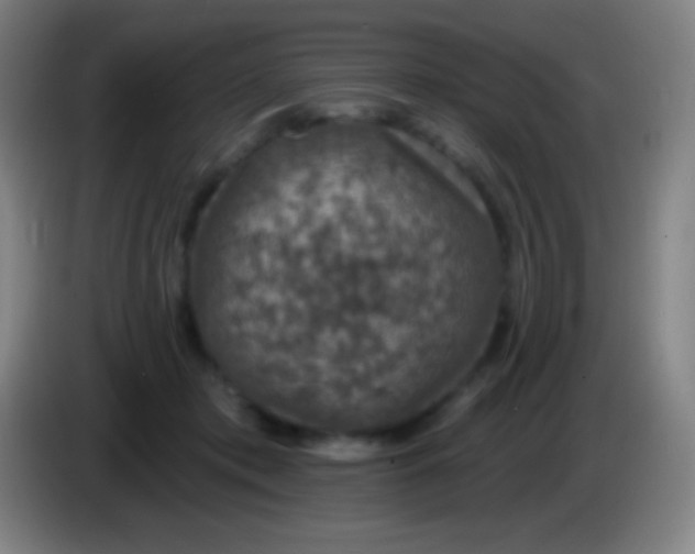 X0000085300413200703302005