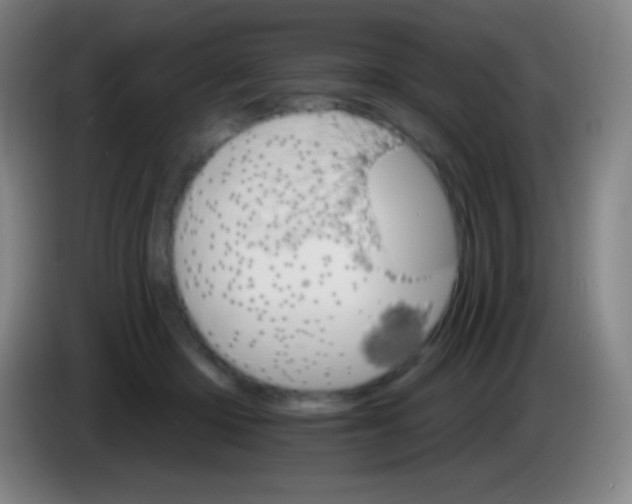 X0000085300414200703302005