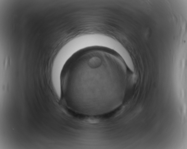 X0000085300416200703302005
