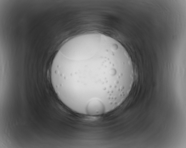 X0000085300418200703302005