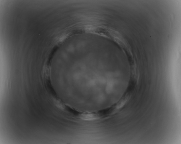 X0000085300419200703302005