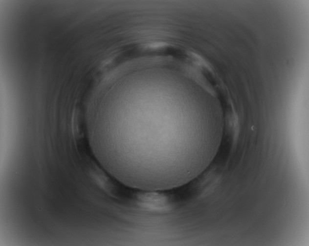 X0000085300421200703302005