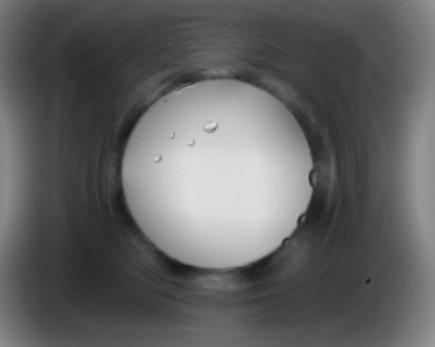 X0000085300422200703302005