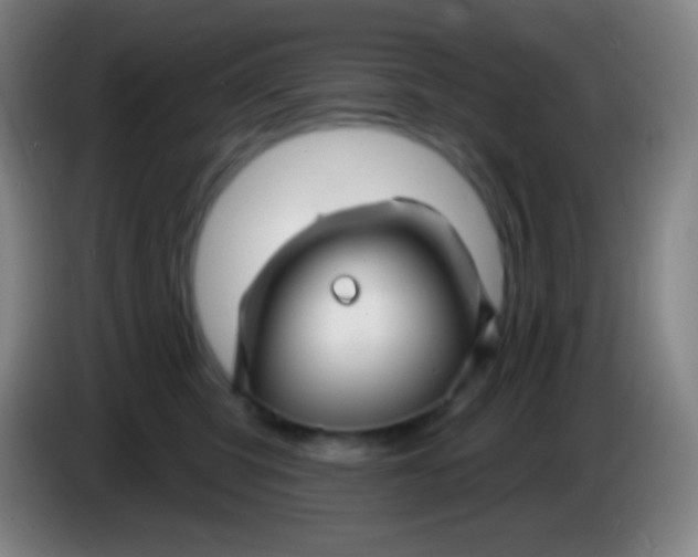 X0000085300423200703302005