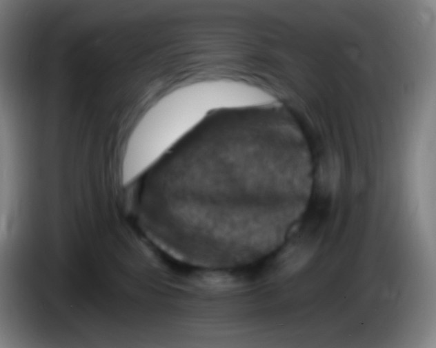 X0000085300424200703302005