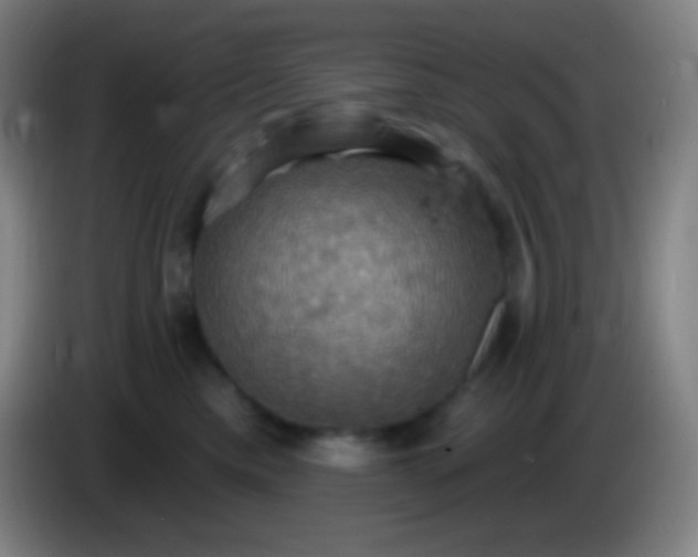 X0000085300425200703302005