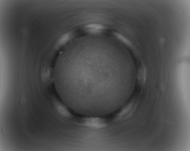 X0000085300428200703302005