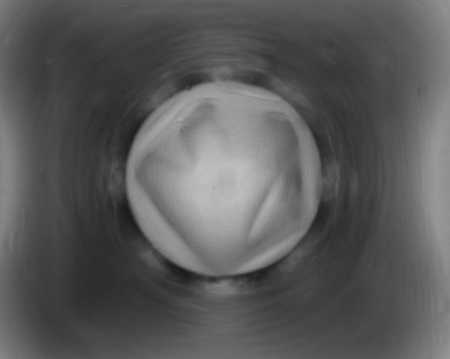 X0000085300430200703302005