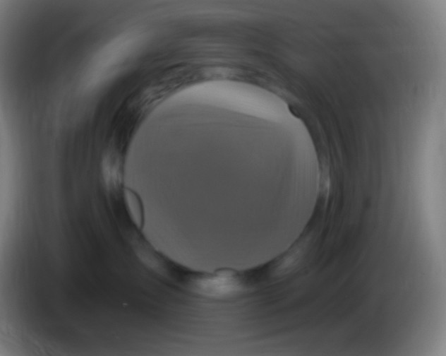 X0000085300431200703302005