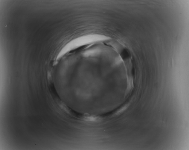X0000085300432200703302005