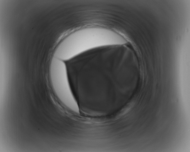 X0000085300434200703302004