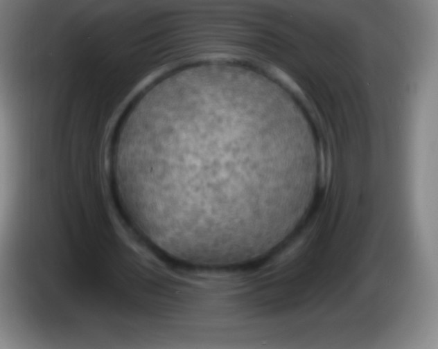 X0000085300435200703302004