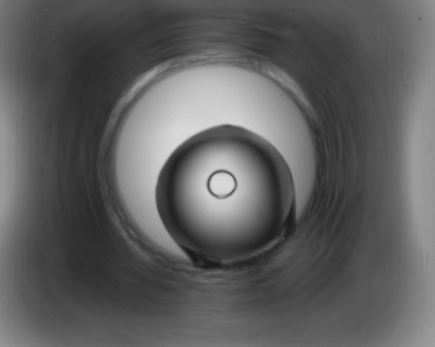 X0000085300436200703302004