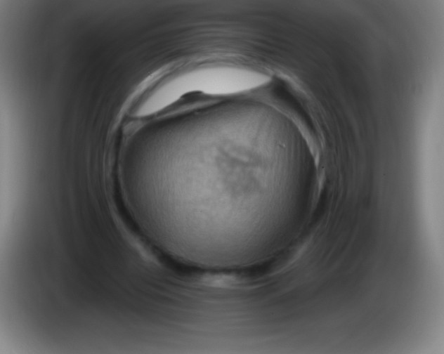 X0000085300440200703302004