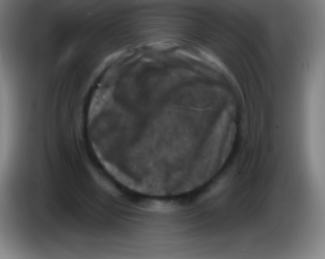 X0000085300442200703302004