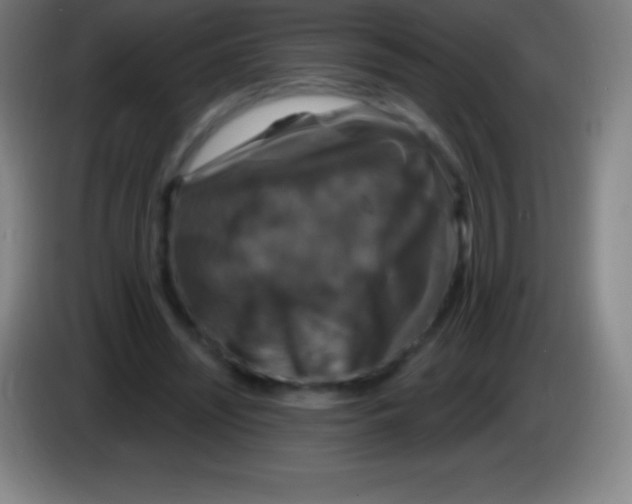 X0000085300444200703302004