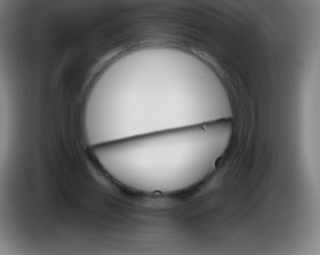 X0000085300446200703302004