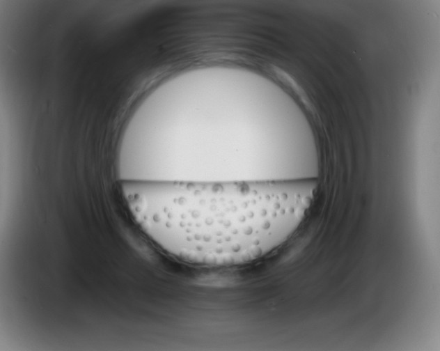 X0000085300447200703302004