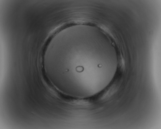 X0000085300448200703302004