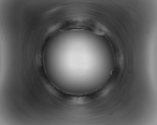 X0000085300450200703302004