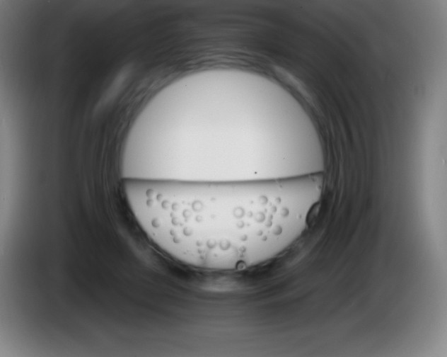 X0000085300451200703302004