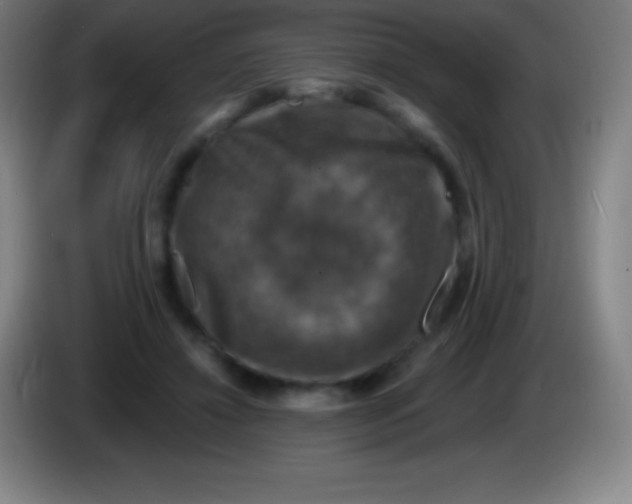 X0000085300452200703302004