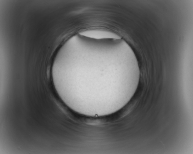 X0000085300454200703302004