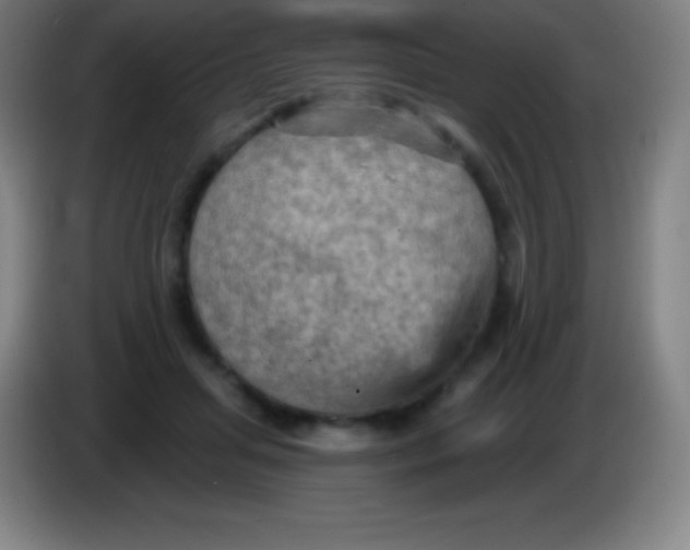 X0000085300455200703302004
