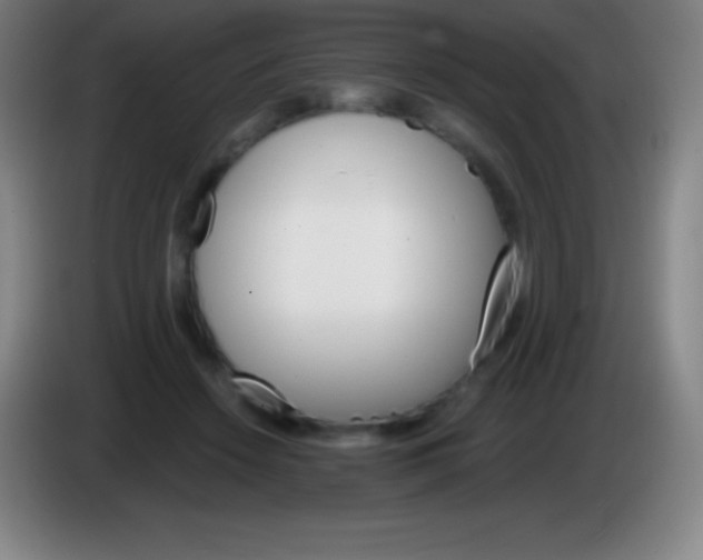 X0000085300456200703302004