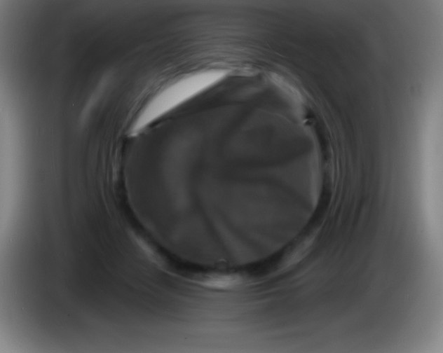 X0000085300458200703302004