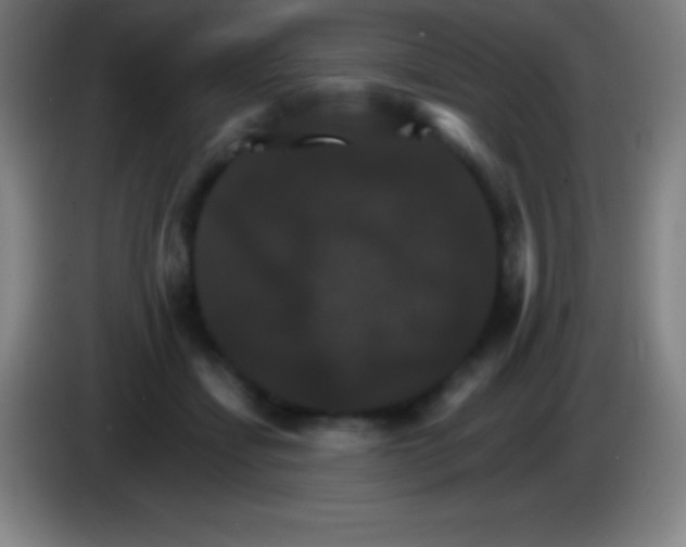X0000085300459200703302004