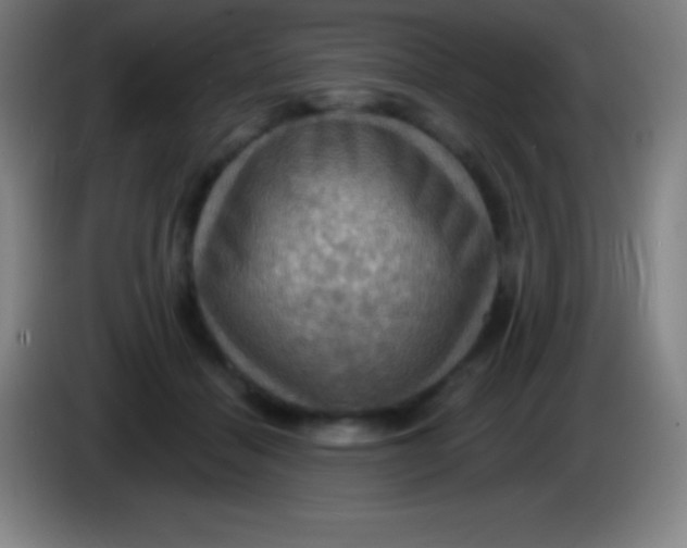 X0000085300460200703302004