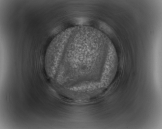 X0000085300461200703302004