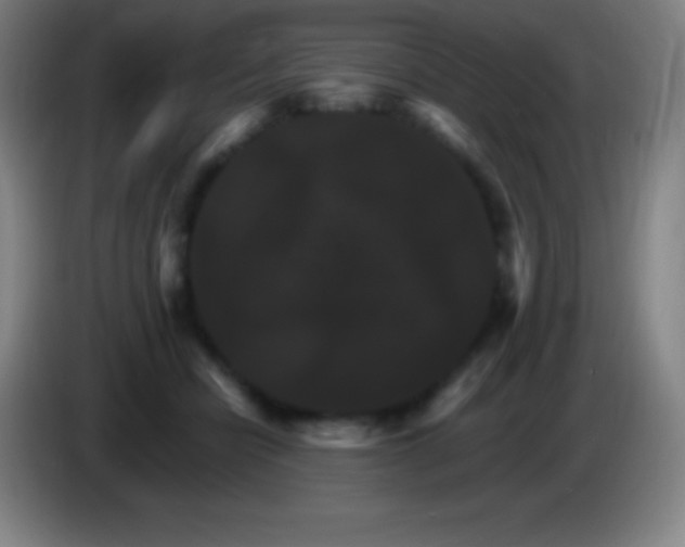 X0000085300462200703302004