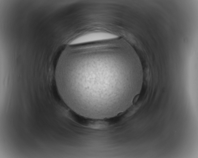 X0000085300463200703302004