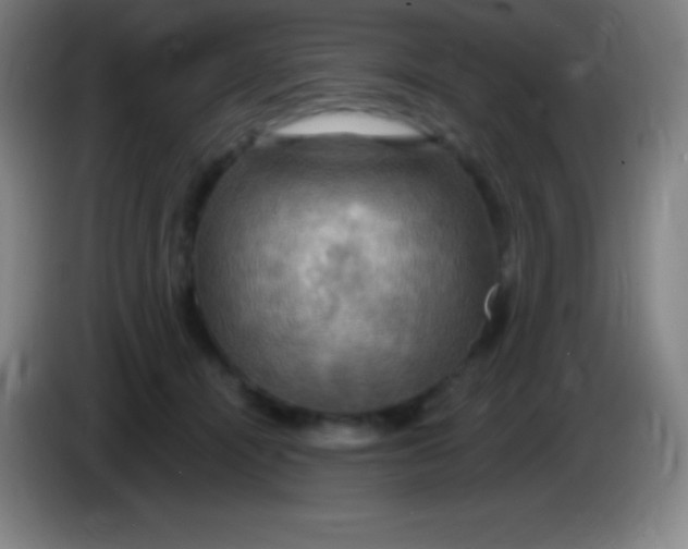 X0000085300464200703302004