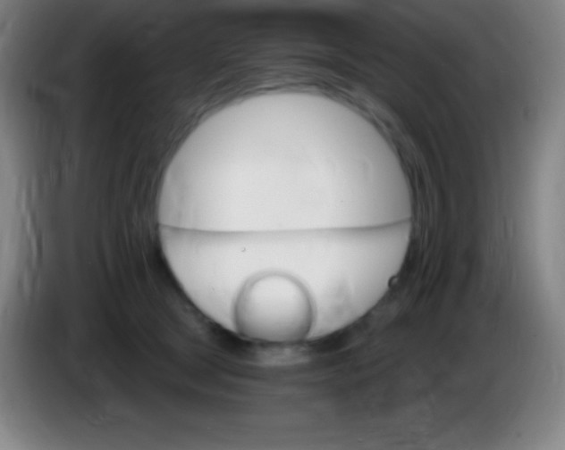 X0000085300465200703302004