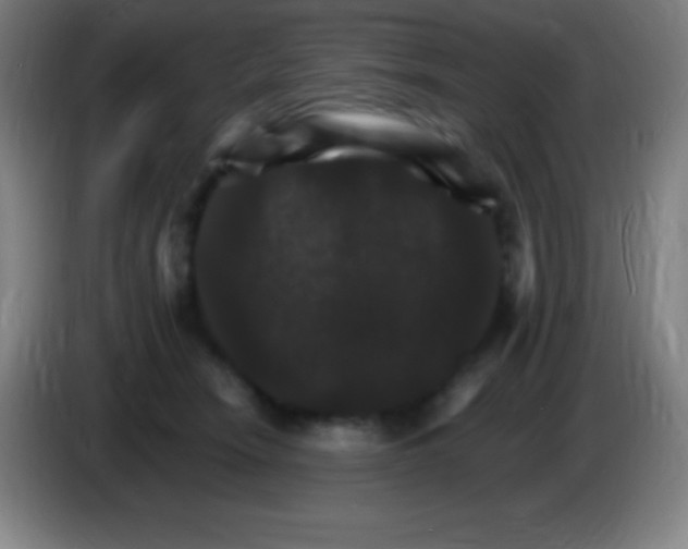 X0000085300466200703302004