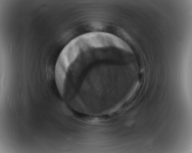 X0000085300467200703302004