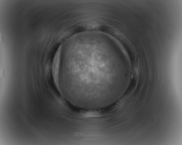 X0000085300468200703302004