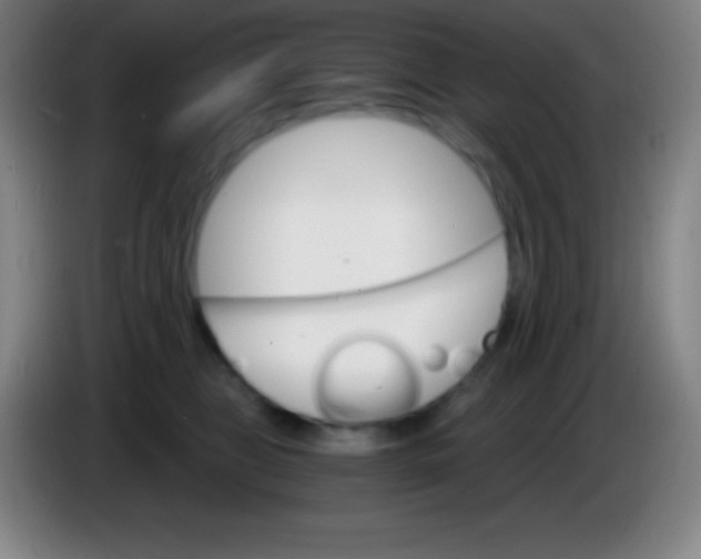 X0000085300469200703302004