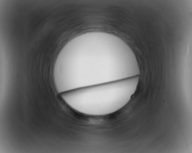 X0000085300470200703302004