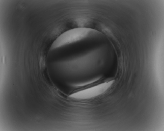 X0000085300471200703302005