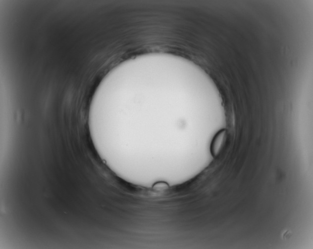 X0000085300472200703302005
