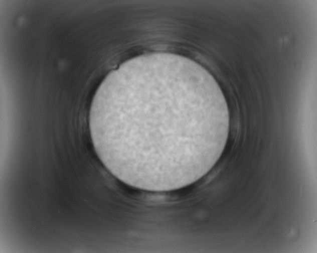 X0000085300473200703302005