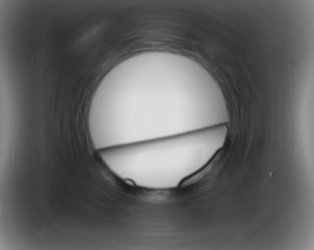 X0000085300474200703302005
