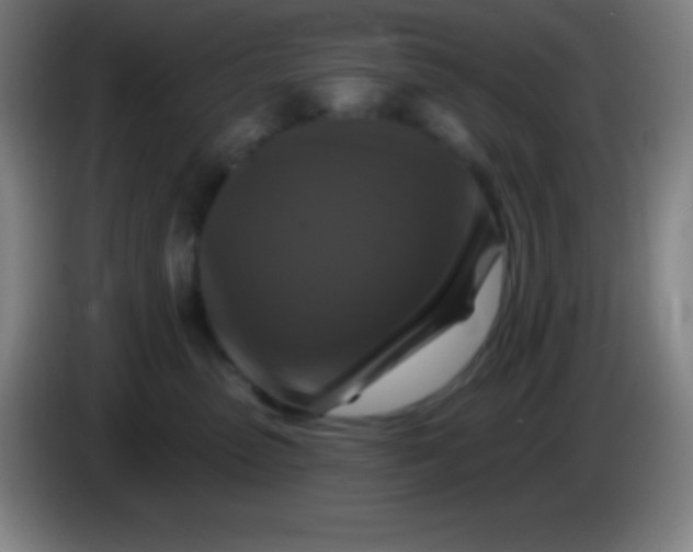X0000085300475200703302005