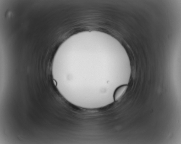 X0000085300476200703302005
