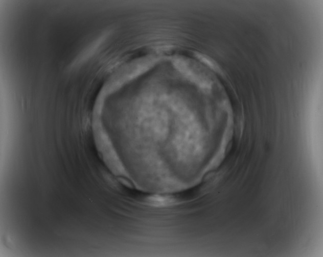 X0000085300477200703302005