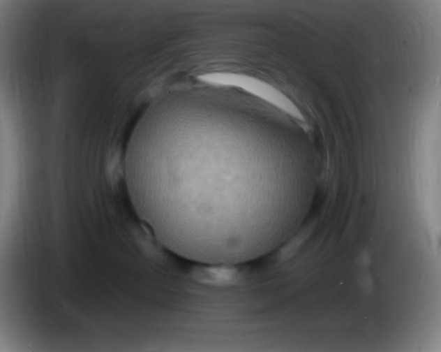 X0000085300478200703302005